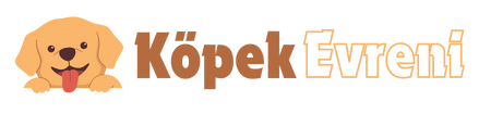 Köpek Evreni